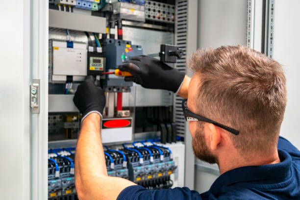 Best Electric Panel Repair  in Carrizo Hill, TX