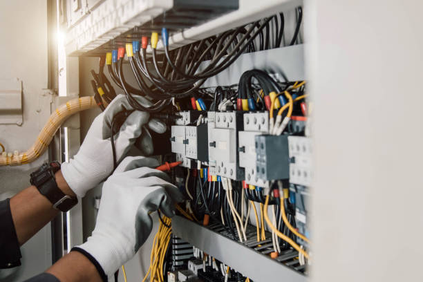 Best Electrical Repair Services  in Carrizo Hill, TX