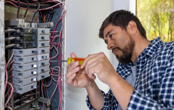 Best Local Electrician Companies  in Carrizo Hill, TX